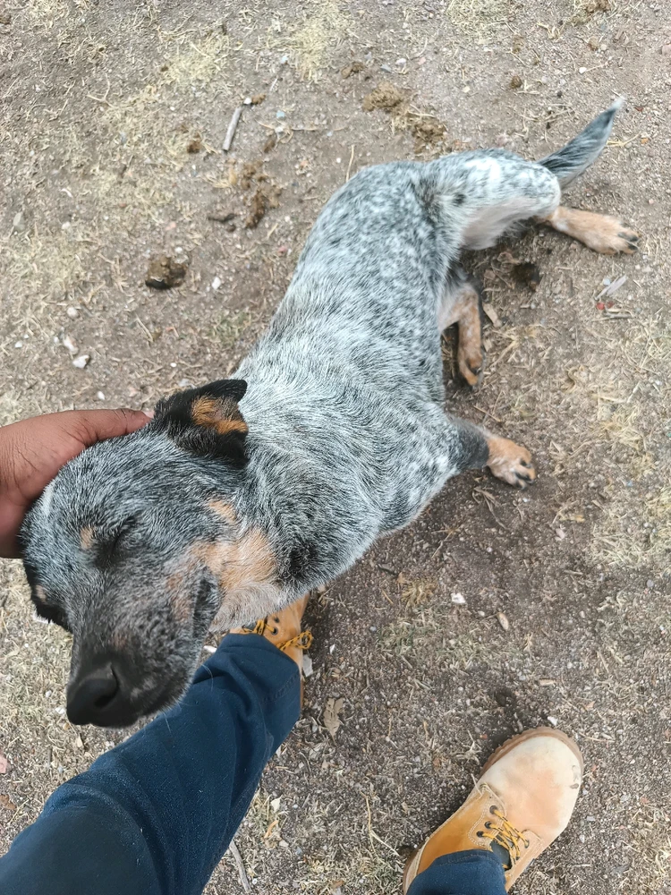 Фото загрузил Esteban Javier