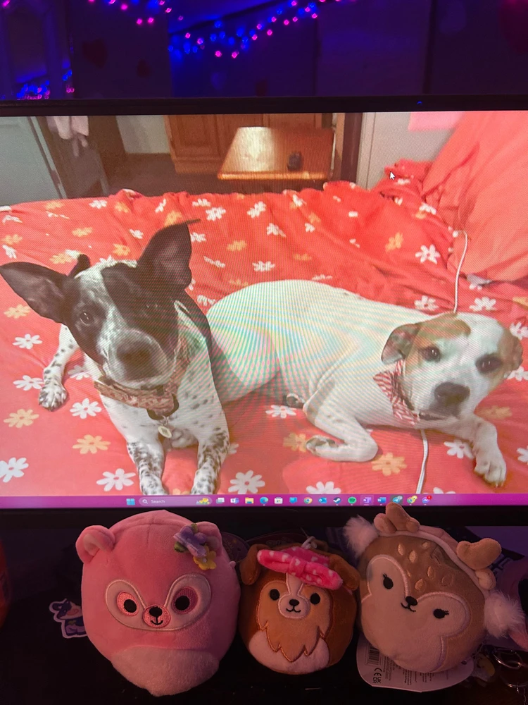 Squish Farm Itty Bitty Collection