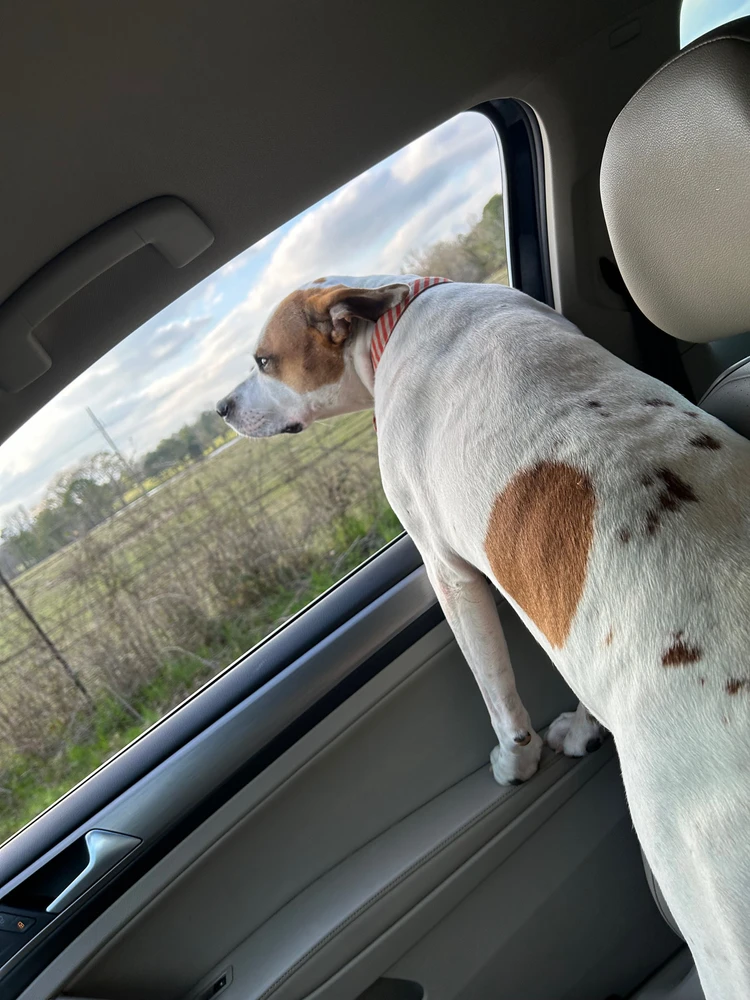 Image uploaded by Jessica Star