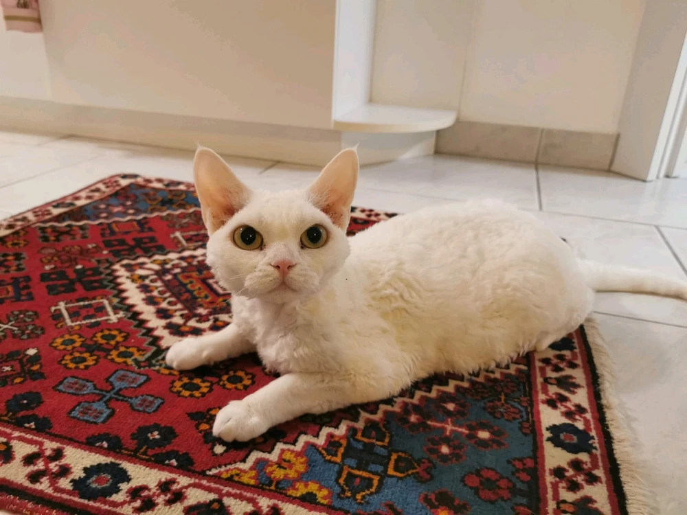 Bild hochgeladen von Stefanie