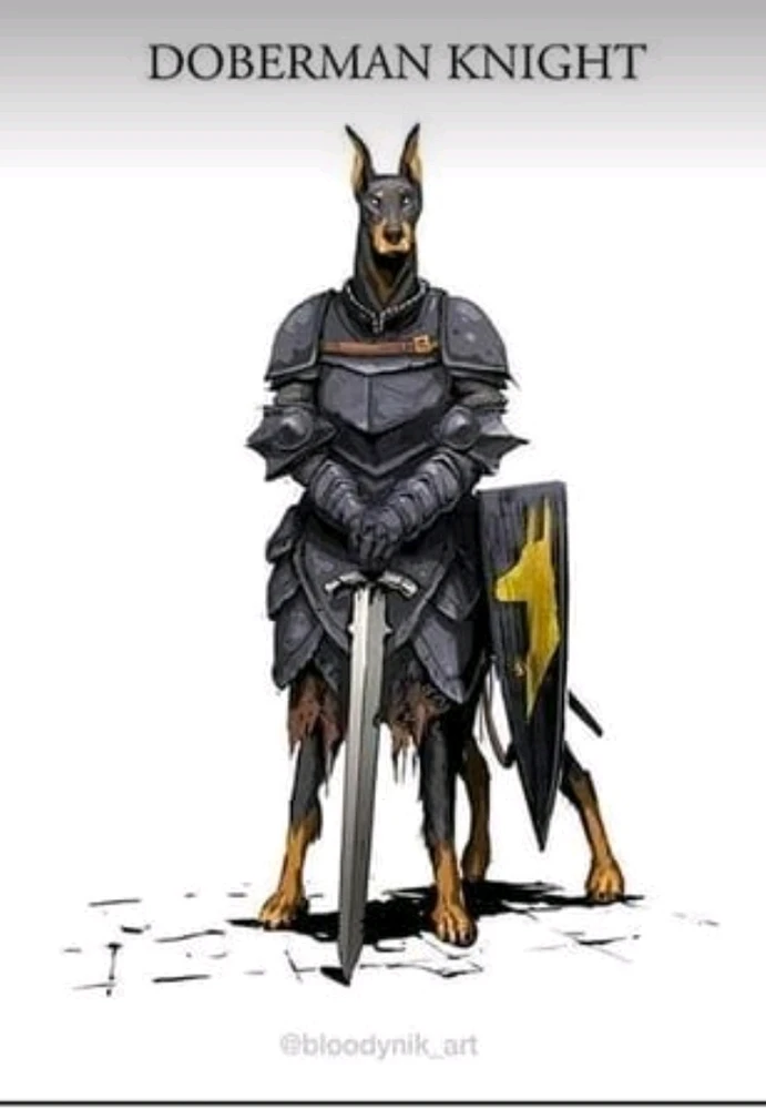 Obrázek nahrál Jakub