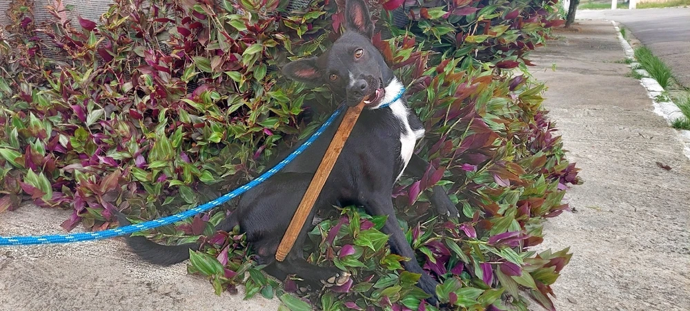 Imagem enviada por Tsuki