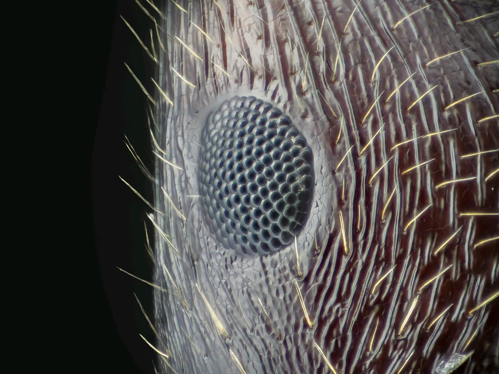 Фото загрузил Тимур