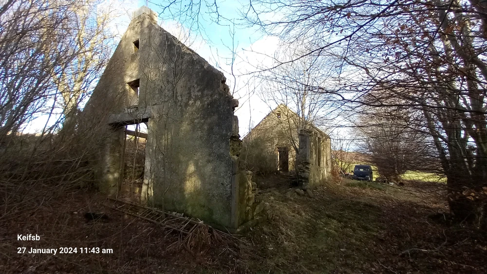 Image uploaded by Keith