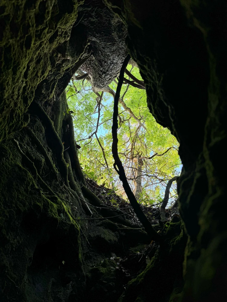 Image uploaded by Nicole