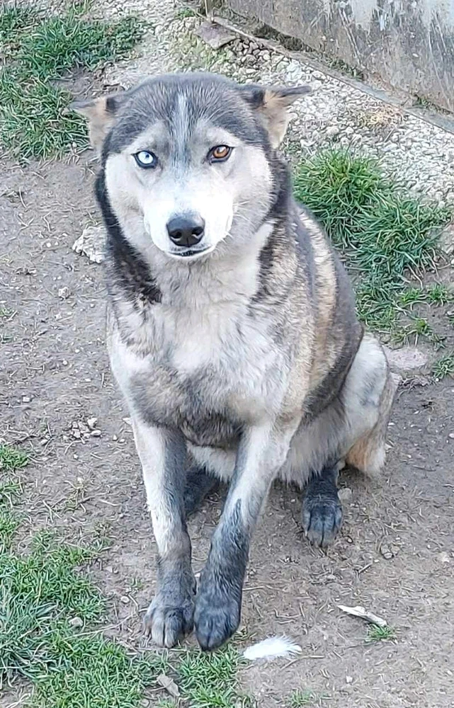 Vili által feltöltött kép