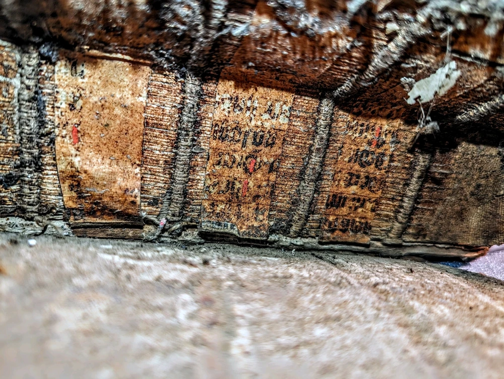 Image uploaded by Mary