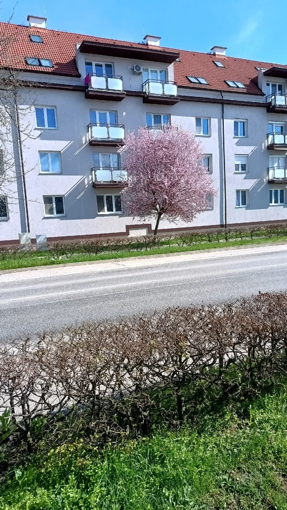 I-upload ni Vladislav Efimov ang larawan