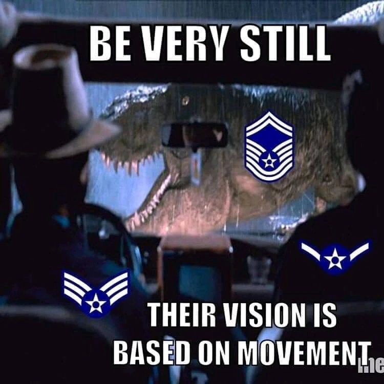 Image uploaded by Ace