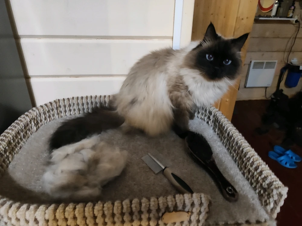 Фото загрузил Ann