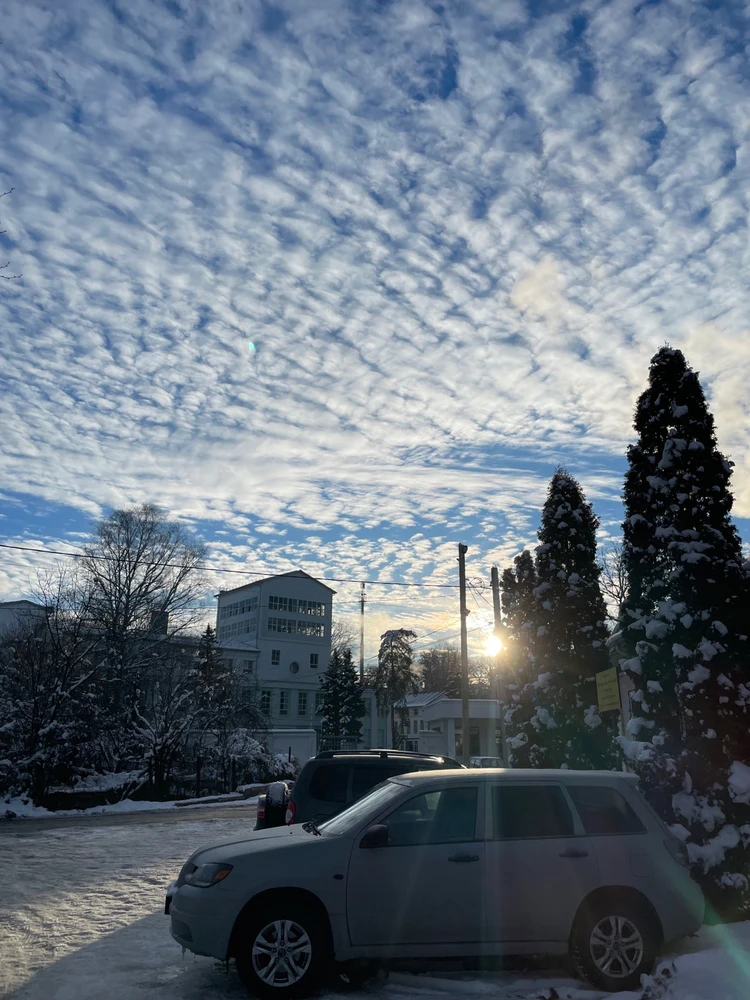 Катерина님이 올린 사진