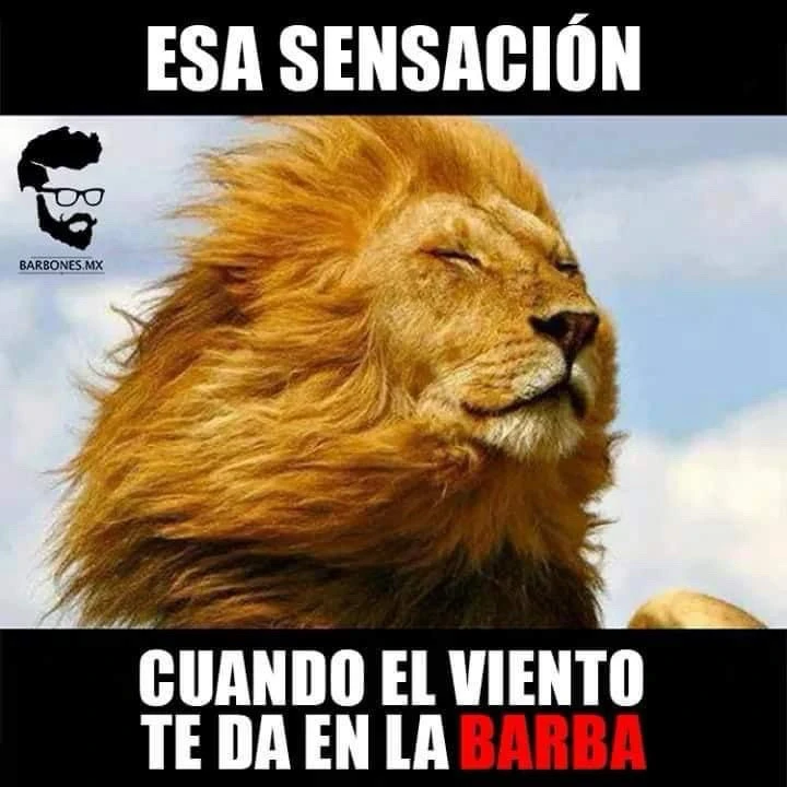 Imagen subida por Eduardo