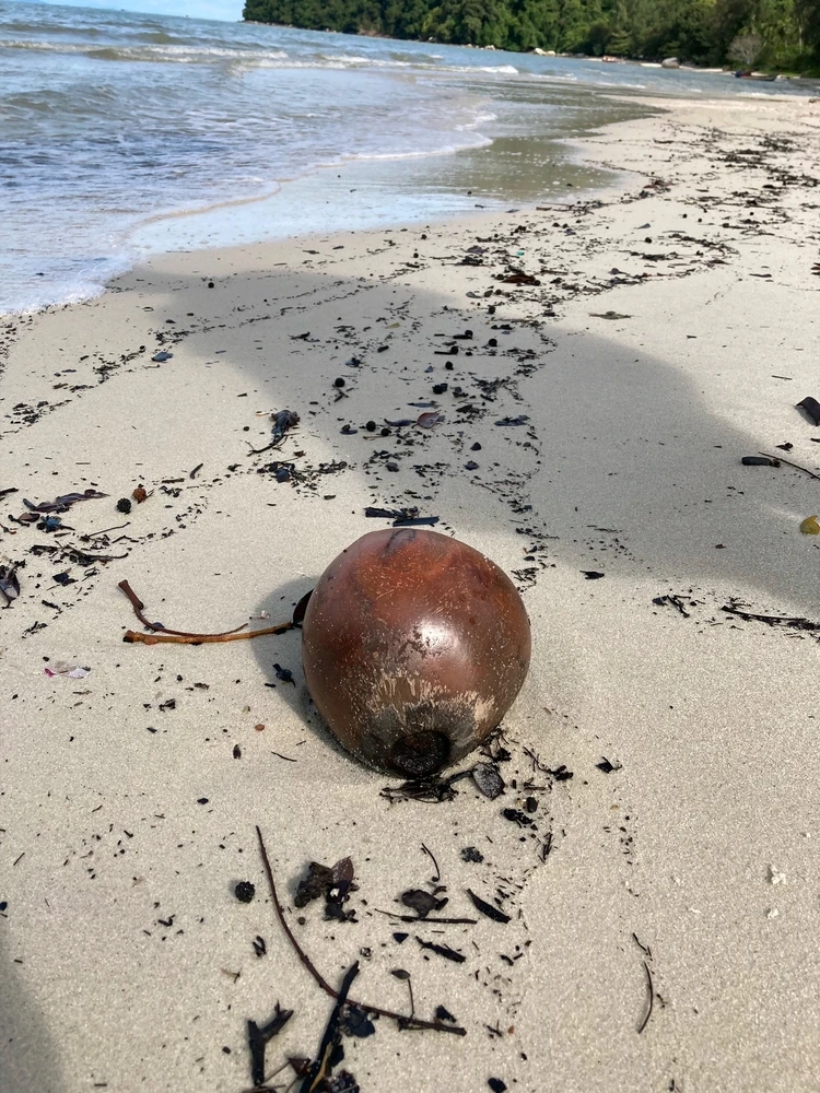 Adrienne által feltöltött kép