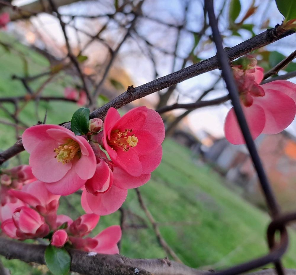 Bild hochgeladen von ^^Angie^^