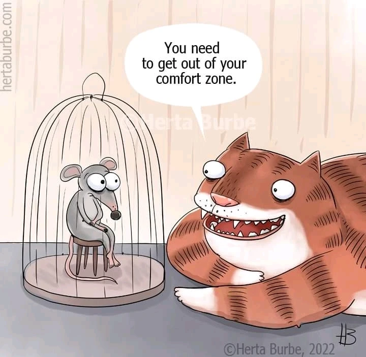 Mouse inside a cage. Cat, with a toothy smile, outside cage telling the mouse, "you need to get out of your comfort zone."