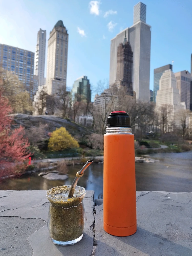 Drinking mate in the Central Park 🗽🇦🇷🧉