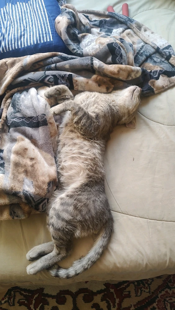 Imagen subida por David