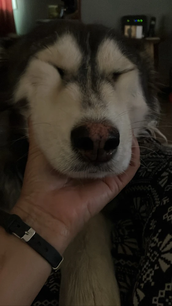 Image uploaded by Patty