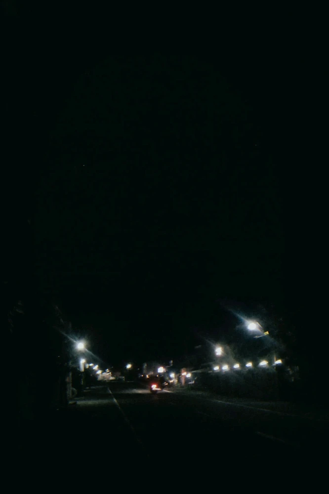 케이트 비너스님이 올린 사진