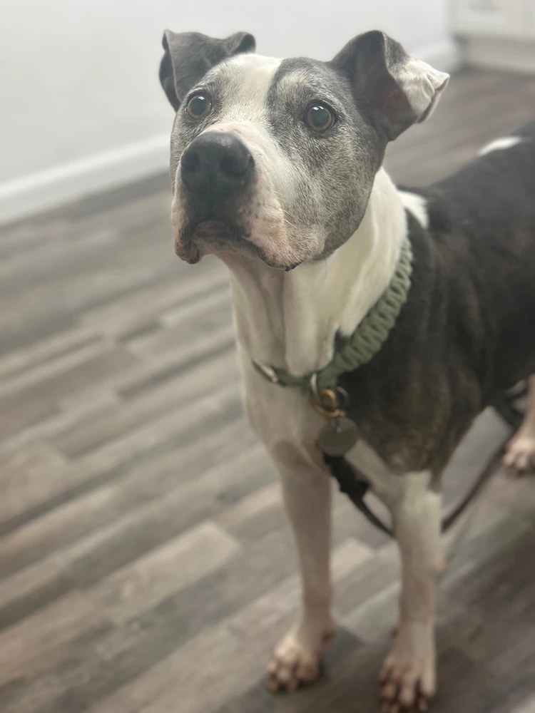 Image uploaded by Meg