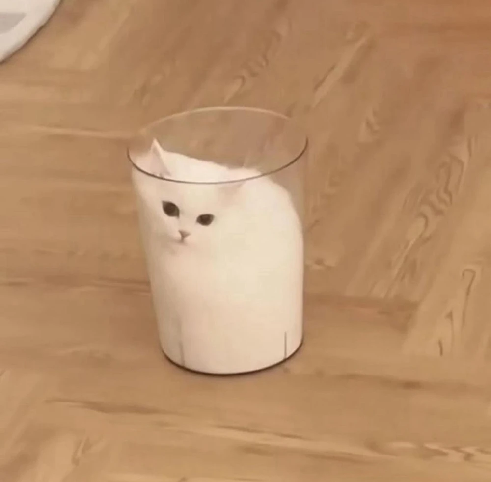 Seth님이 올린 사진