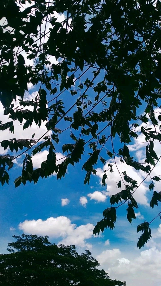 Image uploaded by Ochie
