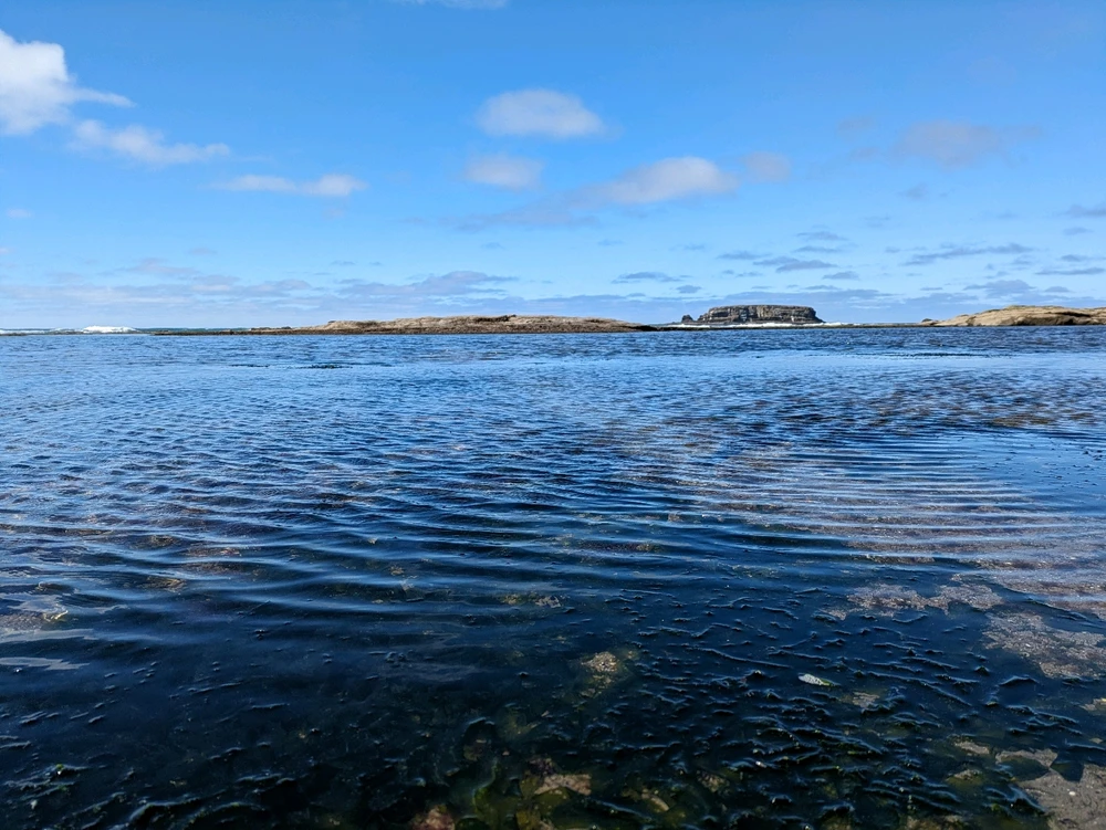 Gambar diunggah dening Zach