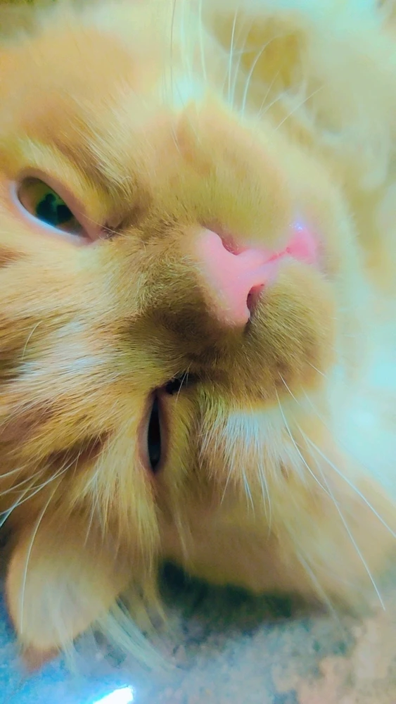 Image uploaded by Raja