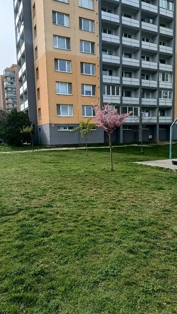 Image uploaded by Vladislav Efimov