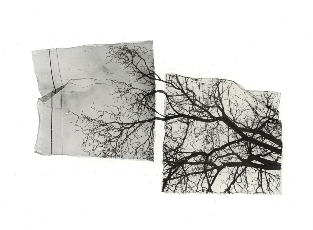 Obrázek nahrál Irónia