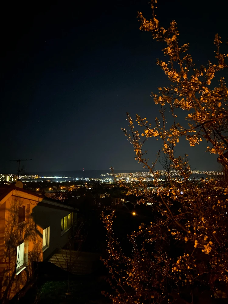 Obrázek nahrál Soni