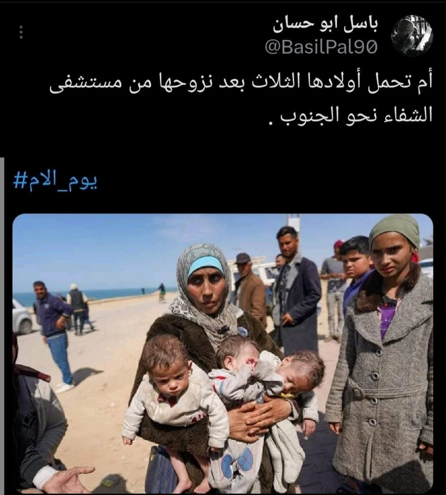 Mohammed上傳的圖片