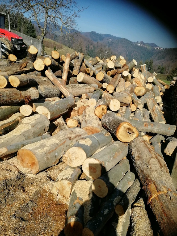 Sliko je naložil Matevž