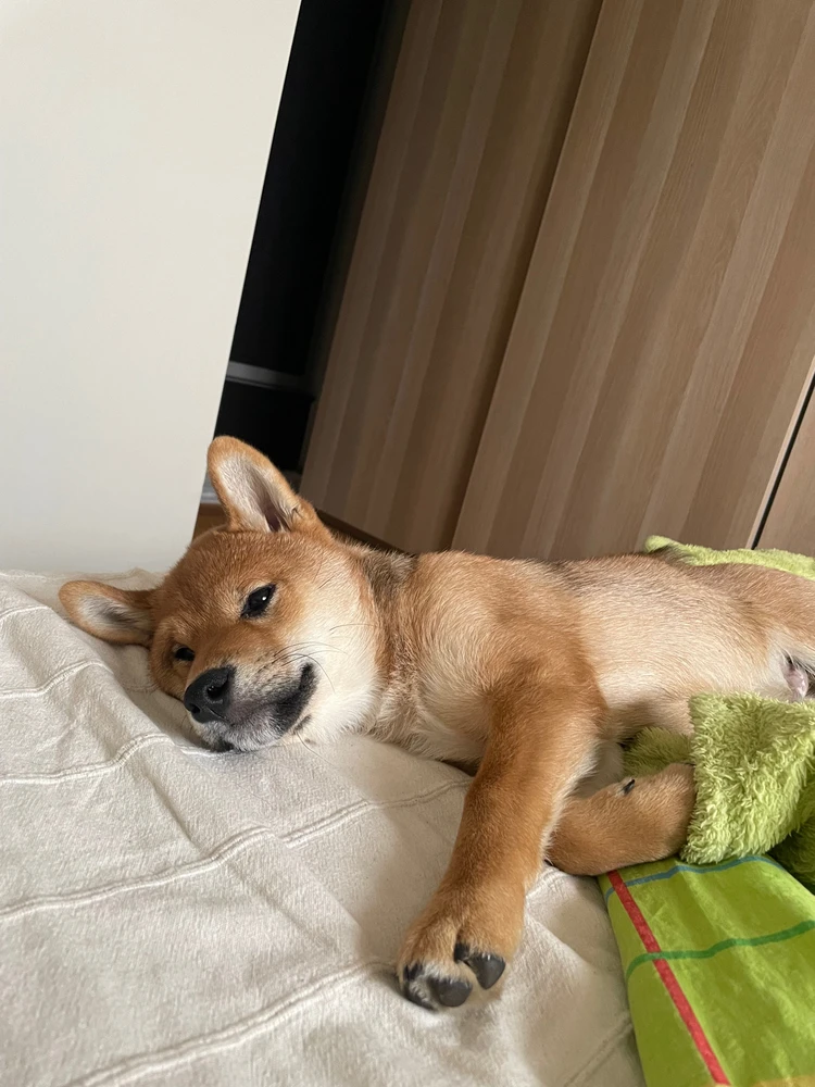 Image uploaded by Tomek