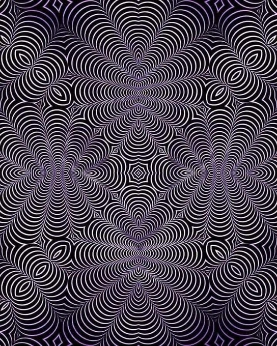 Image uploaded by Adam Koshary