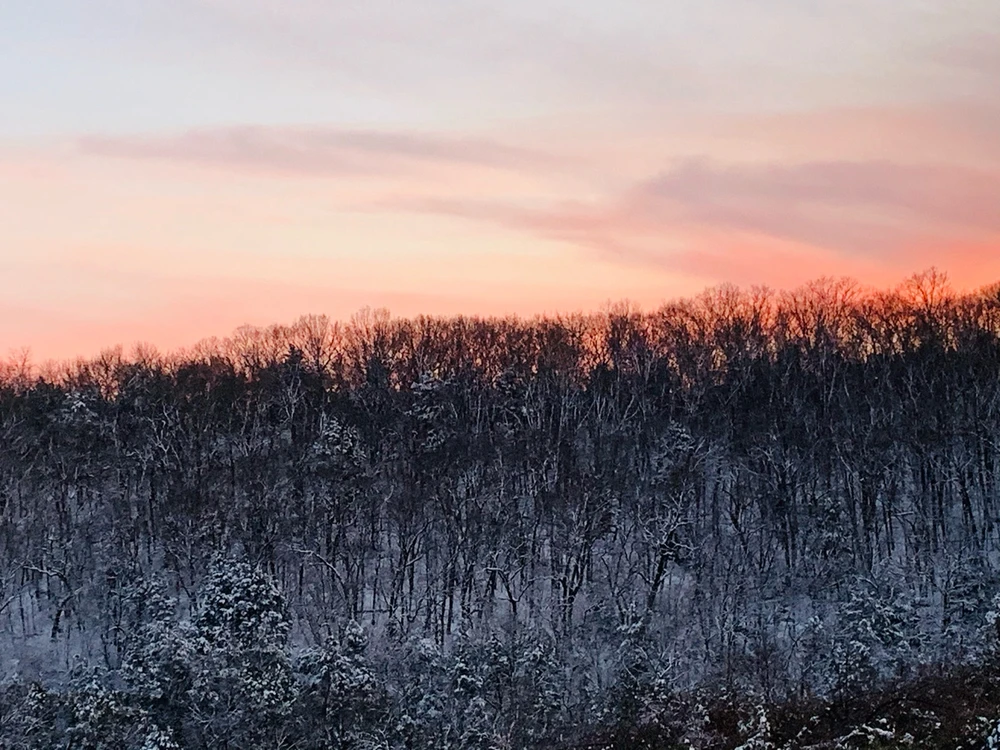 Image uploaded by Alexander