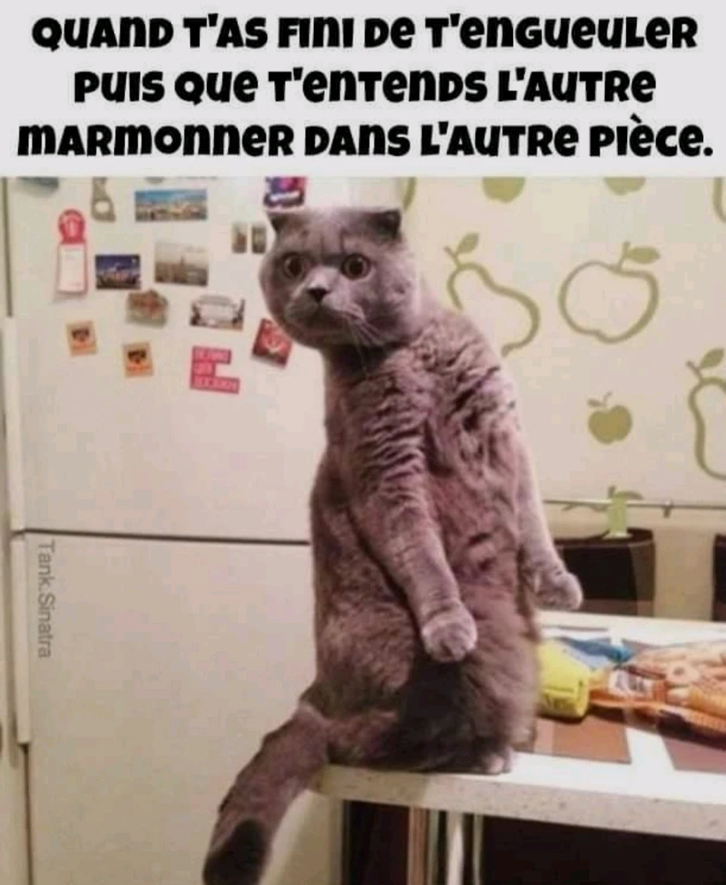 Image ajoutée par Noëline