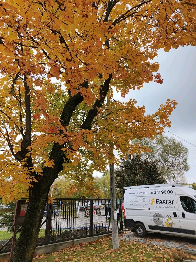 Zdjęcie dodane przez Aashid