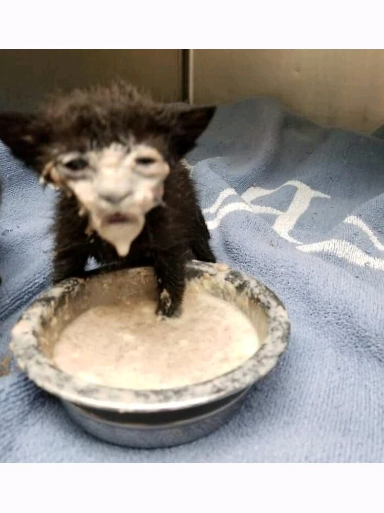 Imagen subida por Marcos