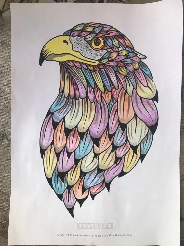 Фото загрузил Леонид