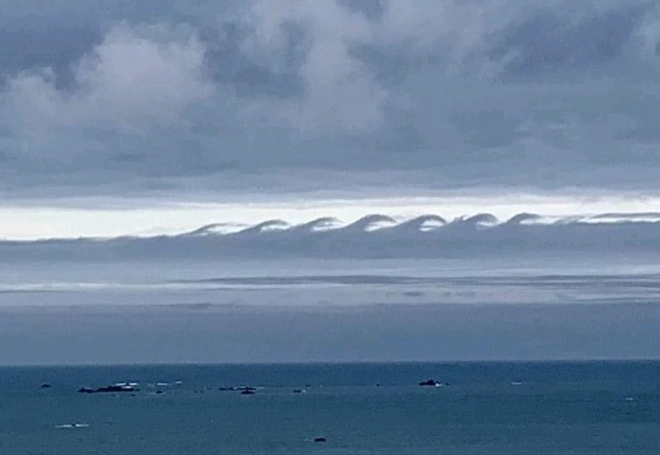 Image ajoutée par Dorian🐞