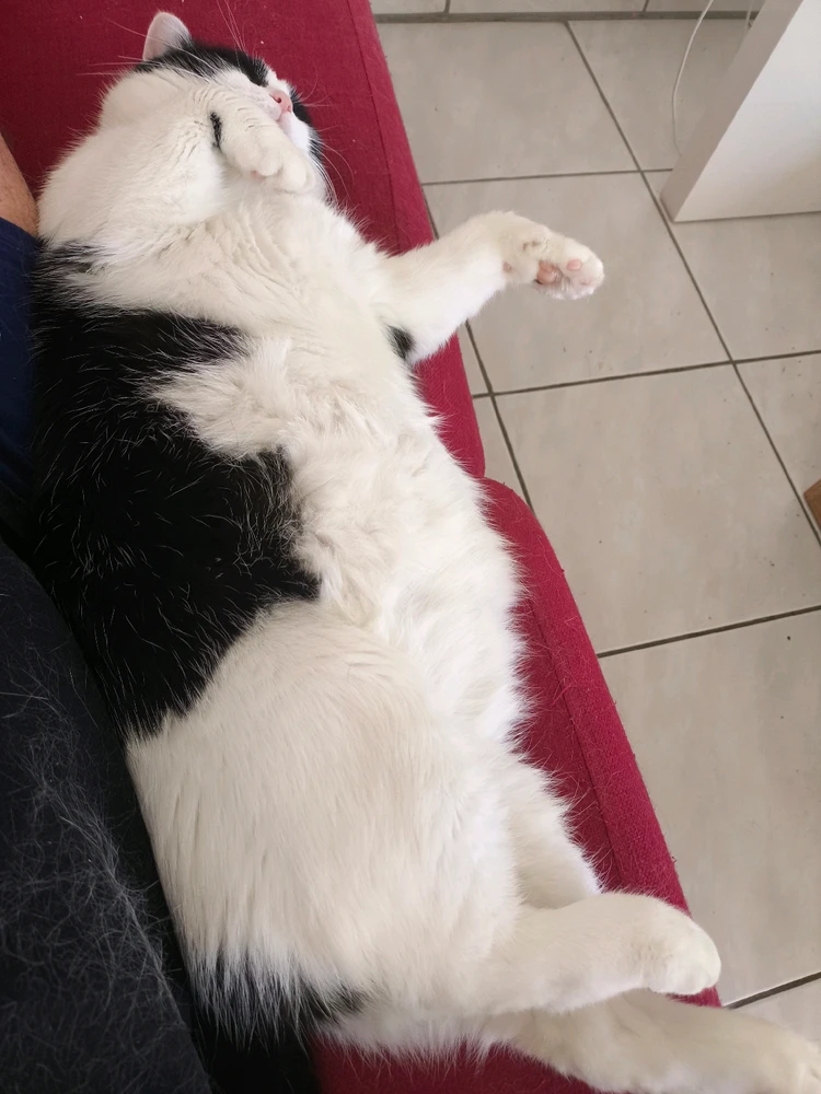 Image ajoutée par Rémy