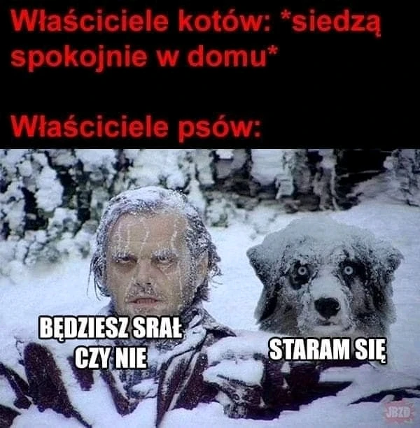 Zdjęcie dodane przez Agnes