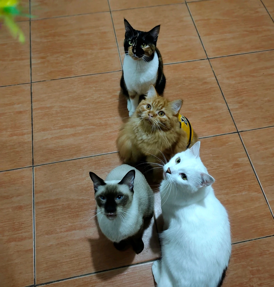 Image uploaded by 𝓙𝓪𝔂𝓷𝓮