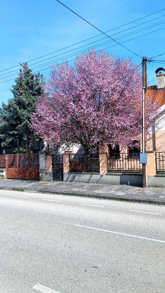 Image uploaded by Vladislav Efimov