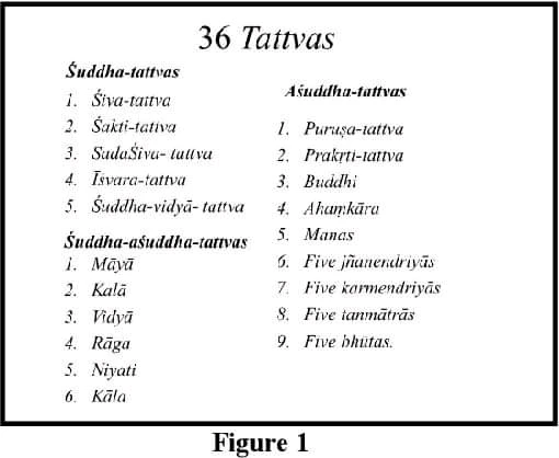 Image uploaded by Spencer