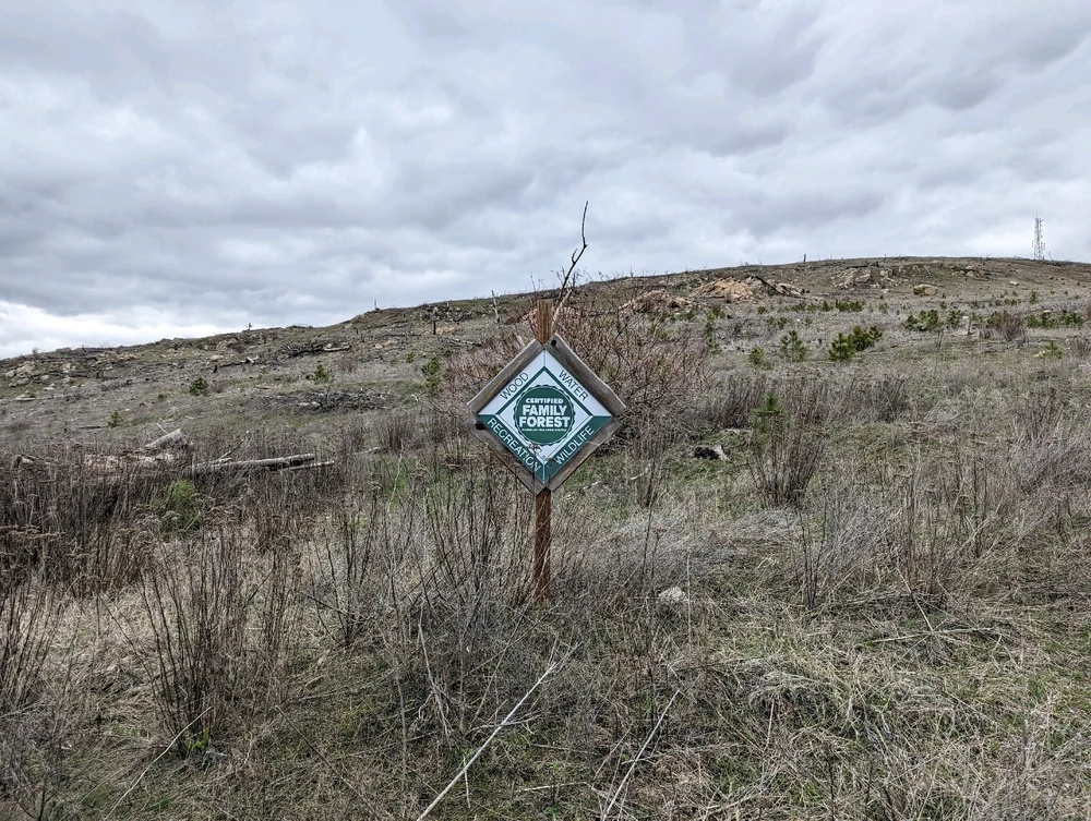 Image uploaded by Collin