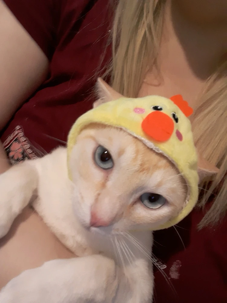 Imagem enviada por Niki