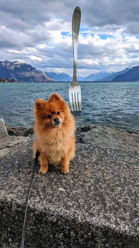 Image uploaded by M.