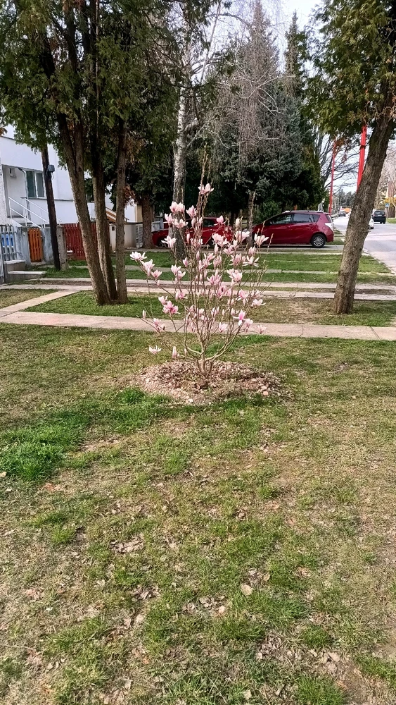 Image uploaded by Vladislav Efimov